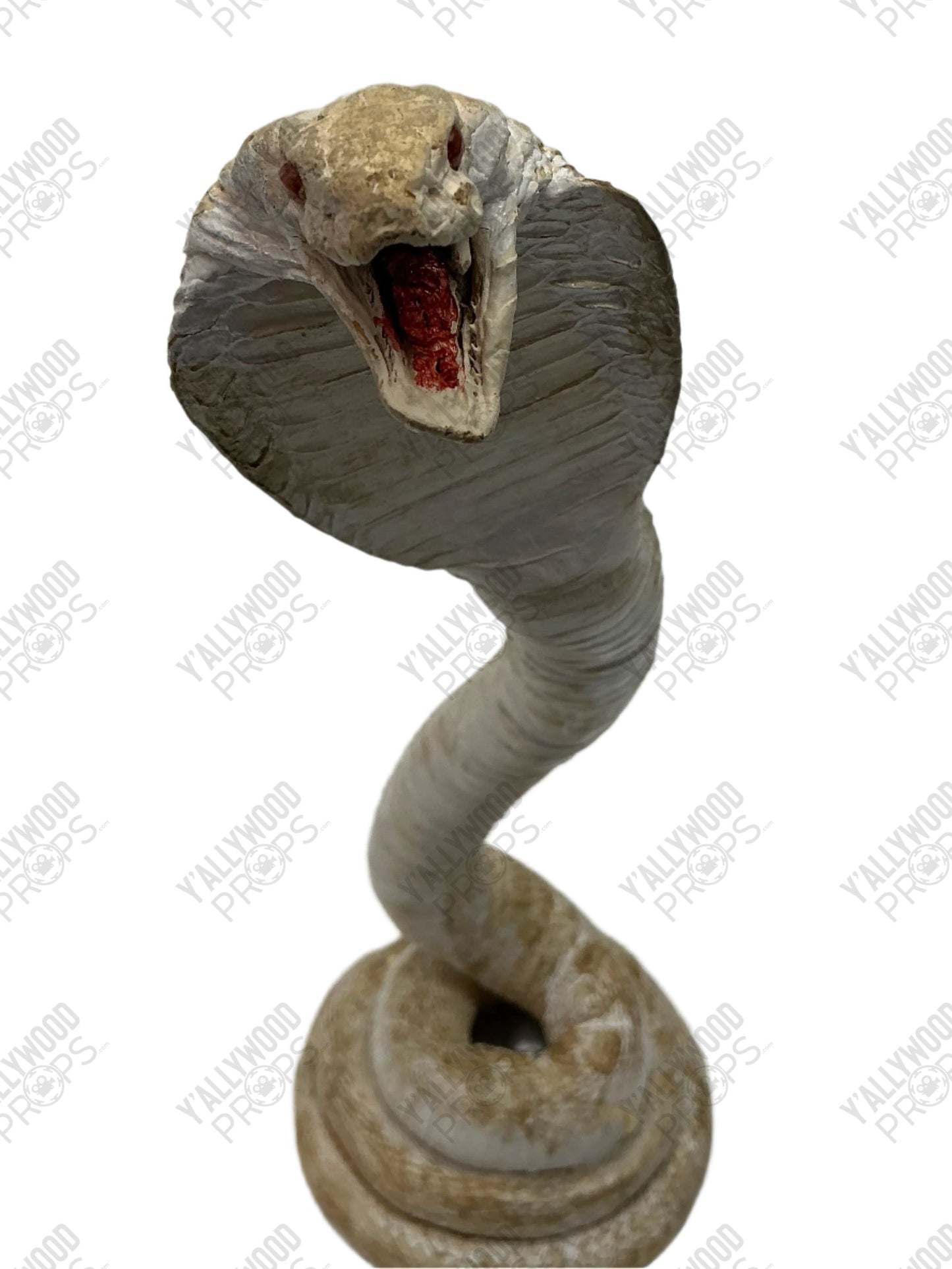 Albino Cobra Stand In Prop S6E2 Cobra Kai Movie Prop Y'allywood Props Snake 1