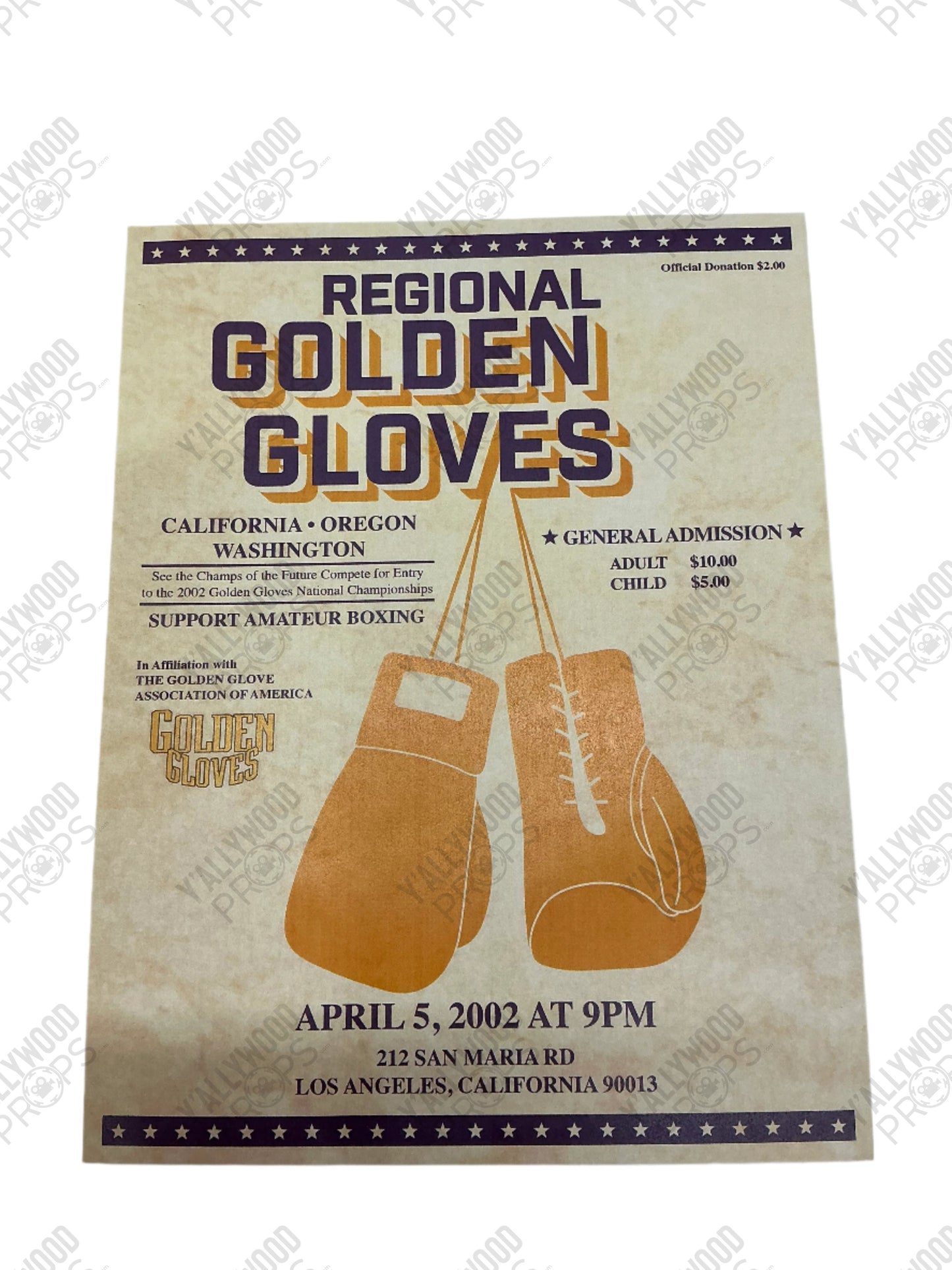 Vintage boxing event flyer for Regional Golden Gloves championship dated April 5, 2002, featuring brown boxing gloves illustr