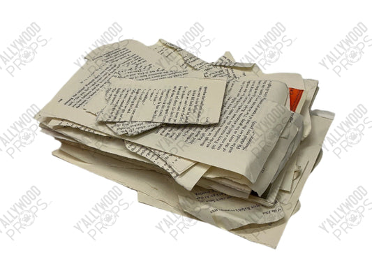 Robby’s Torn Book S3E4 Cobra Kai (2018-2025) Movie Prop Y'allywood Props Randon Page Piece