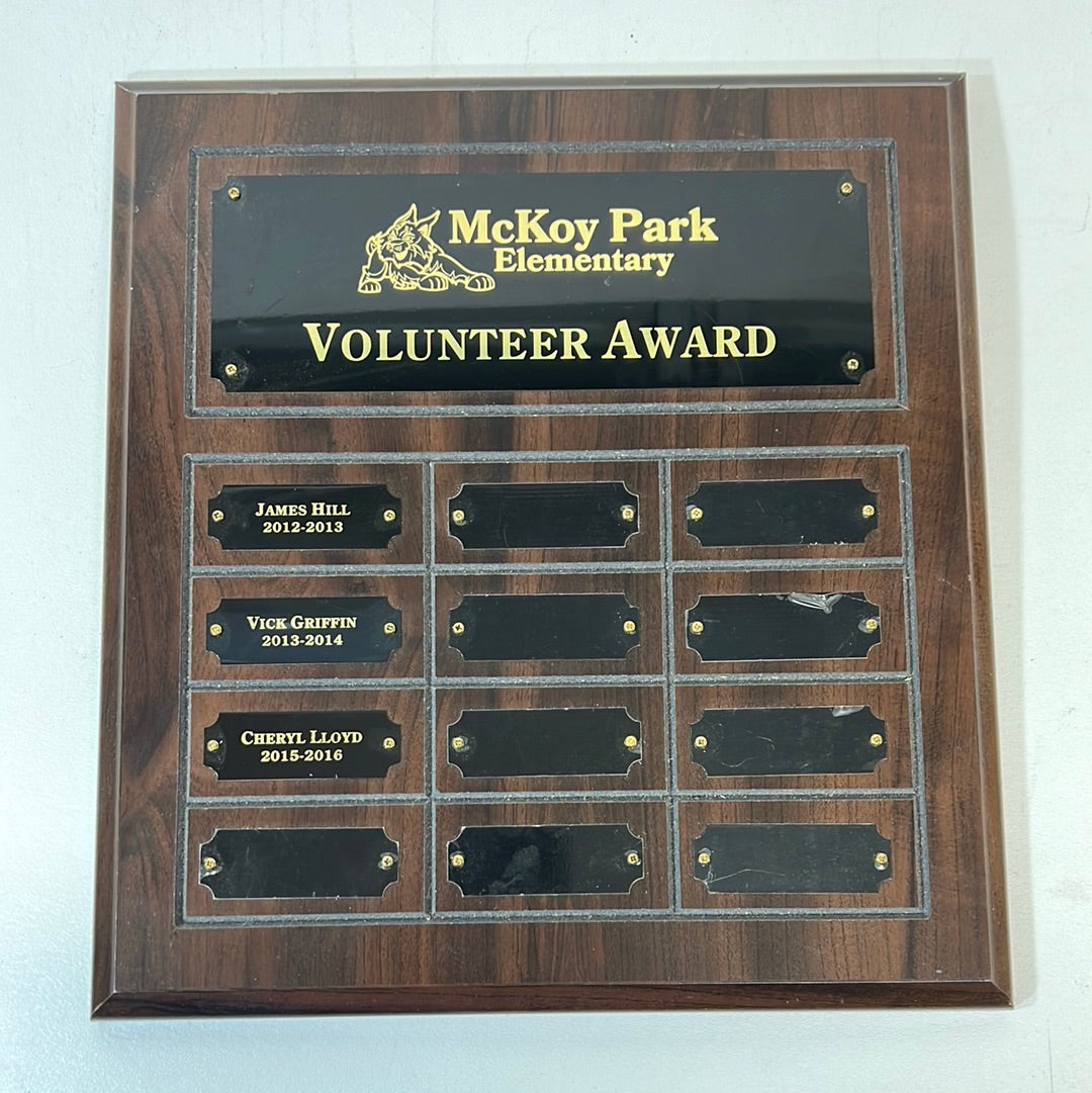 Raising Dion Plaque, McKoy Park Elementary Movie Prop Y'allywood Props