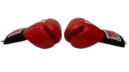 Title Boxing Gloves Delphi Gym Creed 3 (2023) Movie Prop Y'allywood Props
