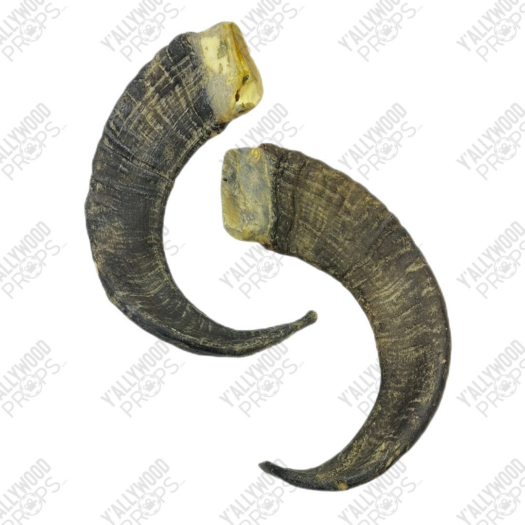 Foam Ram Horn Props Black Adam Movie Prop Y'allywood Props
