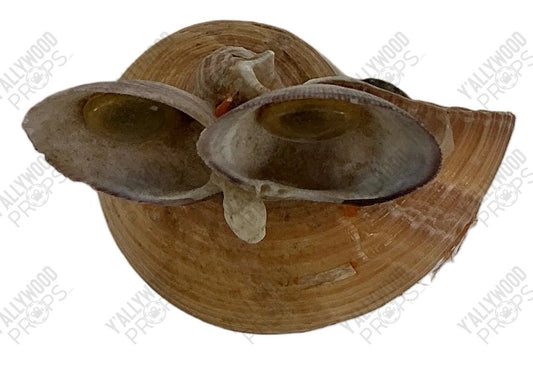 Shell Art from Wheeler's Basement Stranger Things (2016-2025) Movie Prop Y'allywood Props