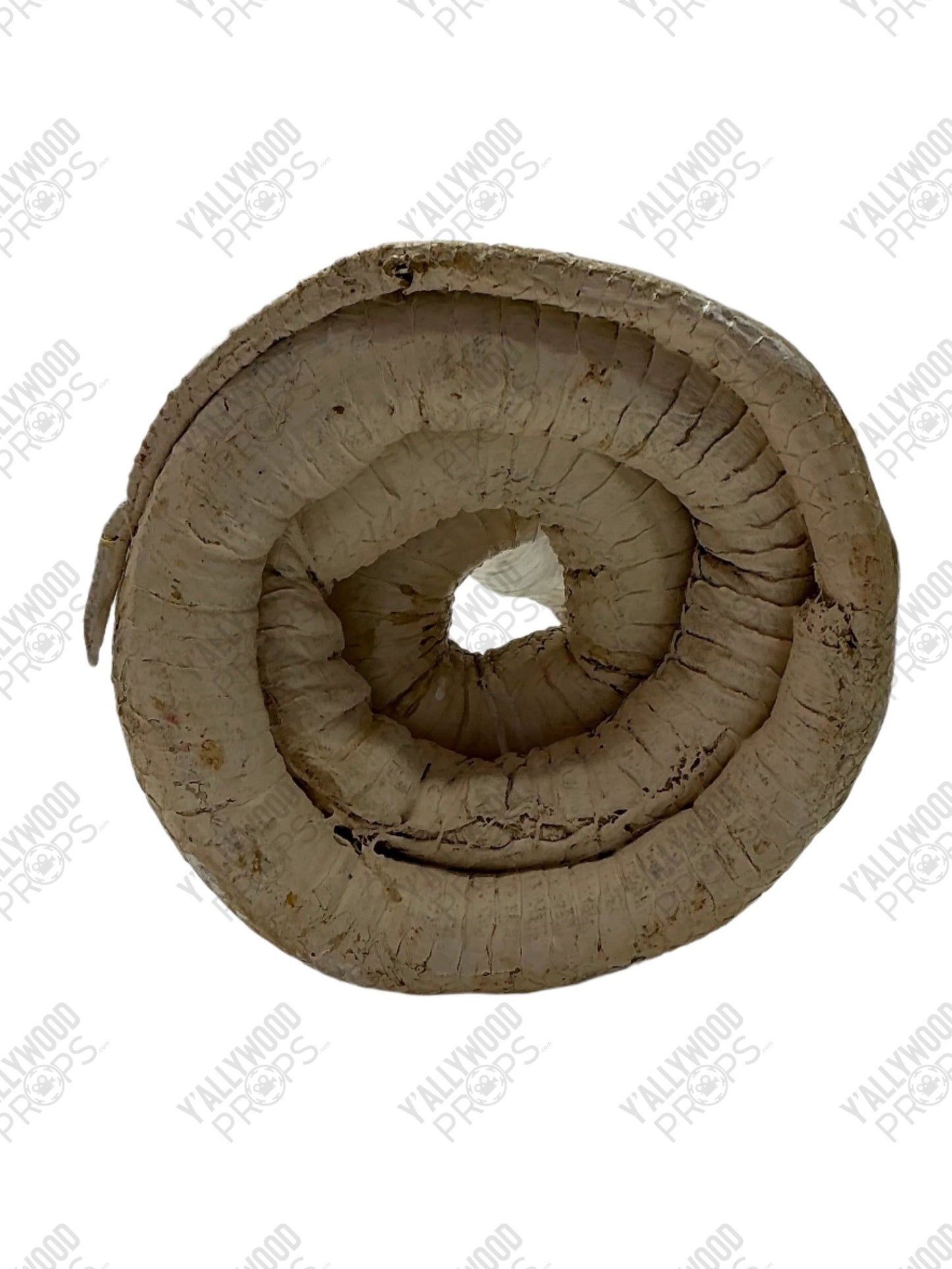 Albino Cobra Stand In Prop S6E2 Cobra Kai Movie Prop Y'allywood Props