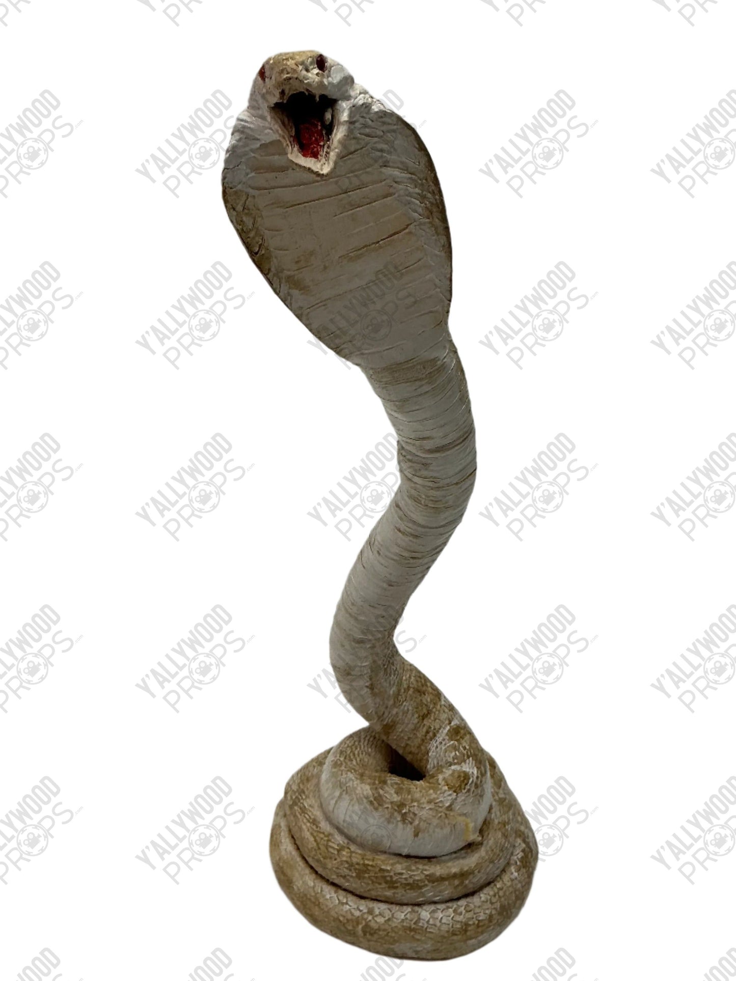 Albino Cobra Stand In Prop S6E2 Cobra Kai Movie Prop Y'allywood Props