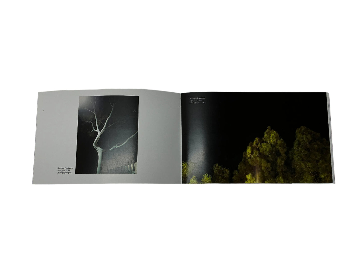 Art Exhibition Pamphlet The Idea of You (2024) Movie Prop Y'allywood Props