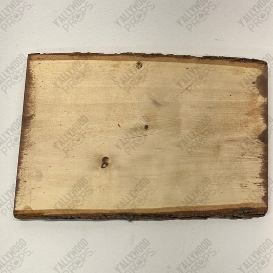 DTO Fraternity Sign from Life of the Party Movie Prop Y'allywood Props