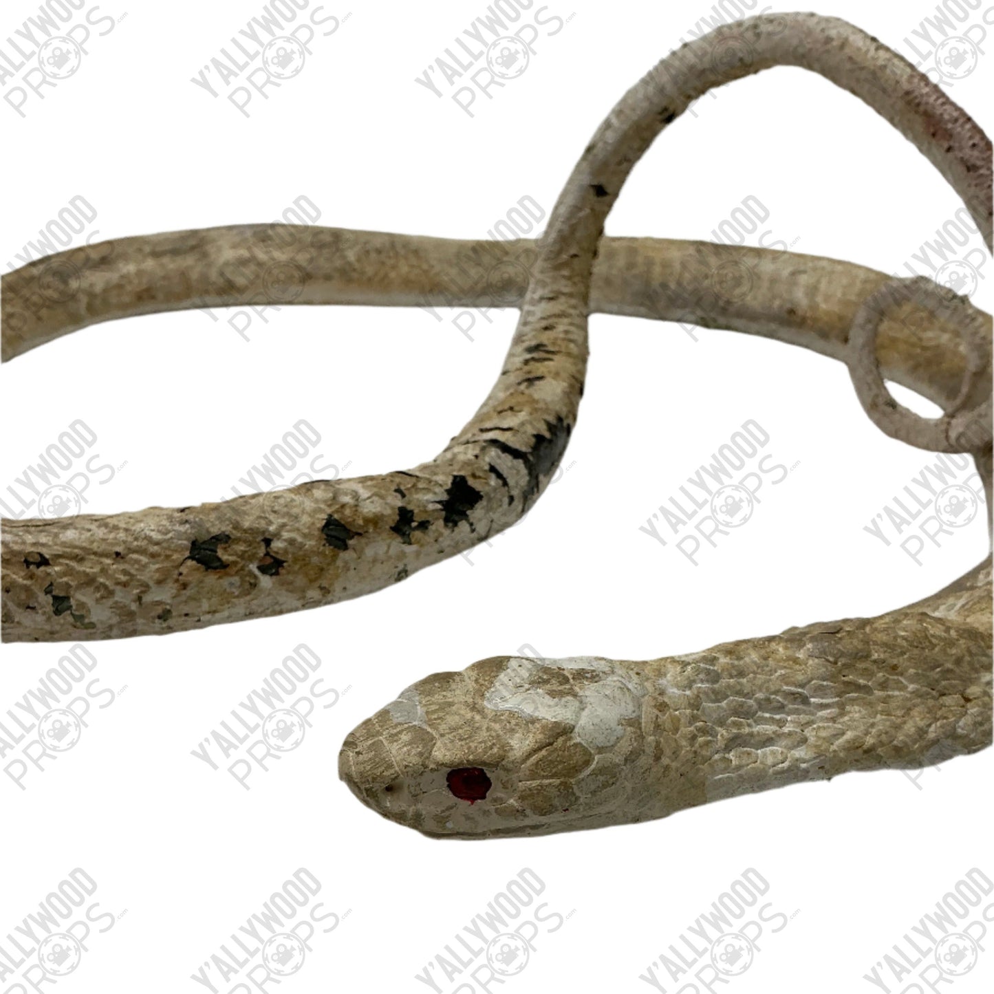 Albino Cobra Stand In Prop S6E2 Cobra Kai Movie Prop Y'allywood Props