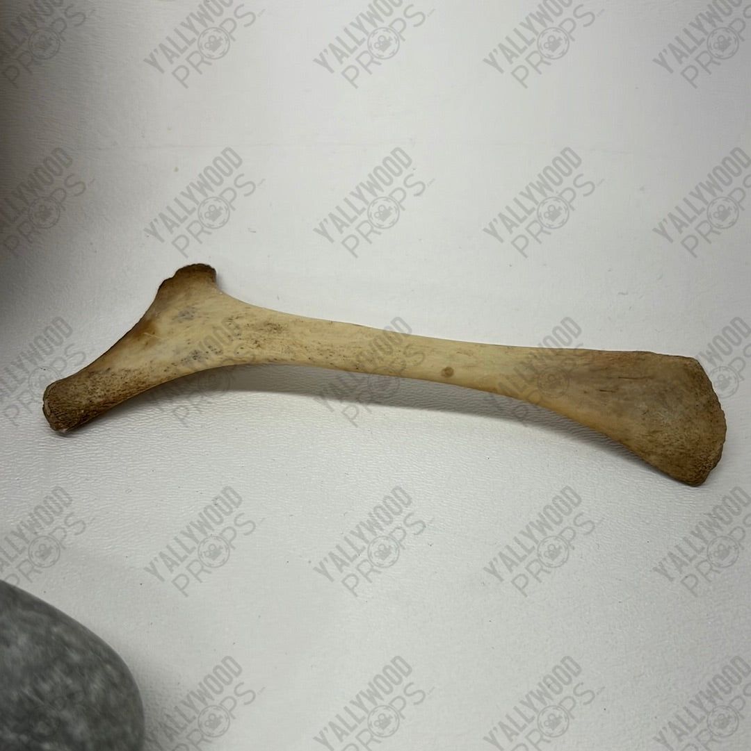 Cave Bowl, Spoon & Mixing Rock S1E10 Doom Patrol Movie Prop Y'allywood Props