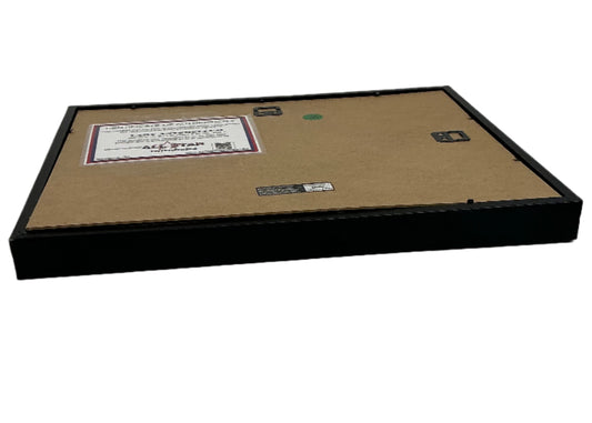 Lady Antebellum Signed CD Autograph Y'allywood Props