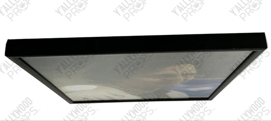 Bruce Banner Picture Spider-man: Homecoming Movie Prop Y'allywood Props