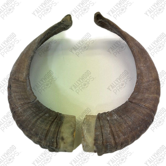 Hero Ram Horn Props Black Adam Movie Prop Y'allywood Props