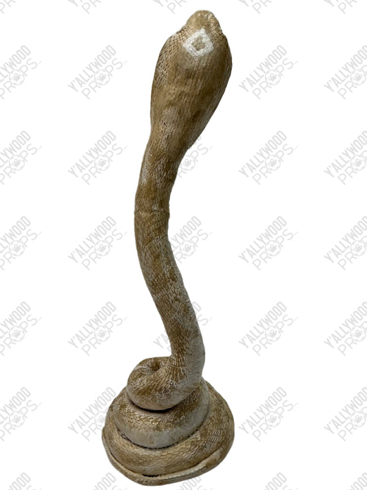 Albino Cobra Stand In Prop S6E2 Cobra Kai Movie Prop Y'allywood Props