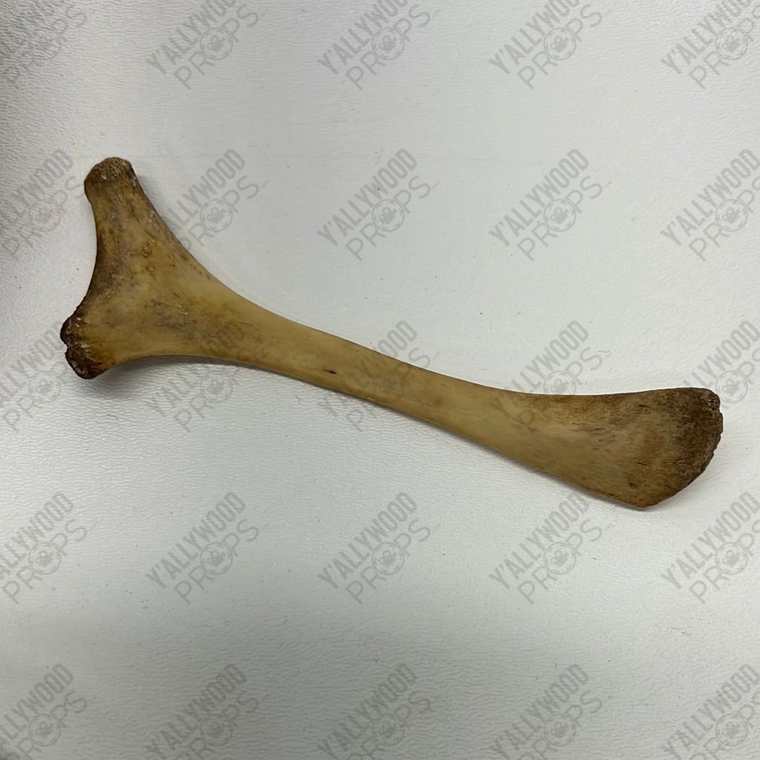 Cave Bowl, Spoon & Mixing Rock S1E10 Doom Patrol Movie Prop Y'allywood Props