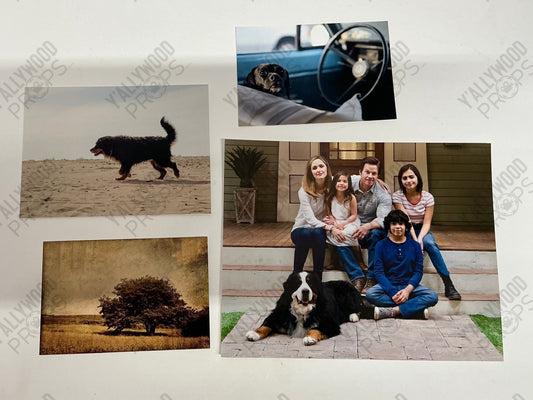 Family Pictures Instant Family (2018) Movie Prop Y'allywood Props Lot 6