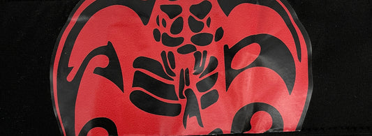 Cobra Kai Headband S5E1 Cobra Kai Movie Prop Y'allywood Props