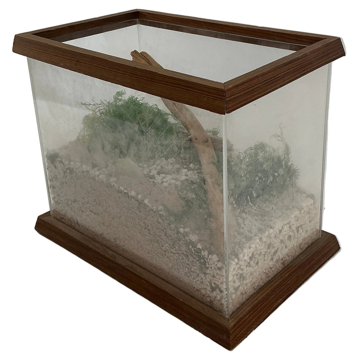 Will Byer's Terrarium from Stranger Things (2016-2025) Movie Prop Y'allywood Props