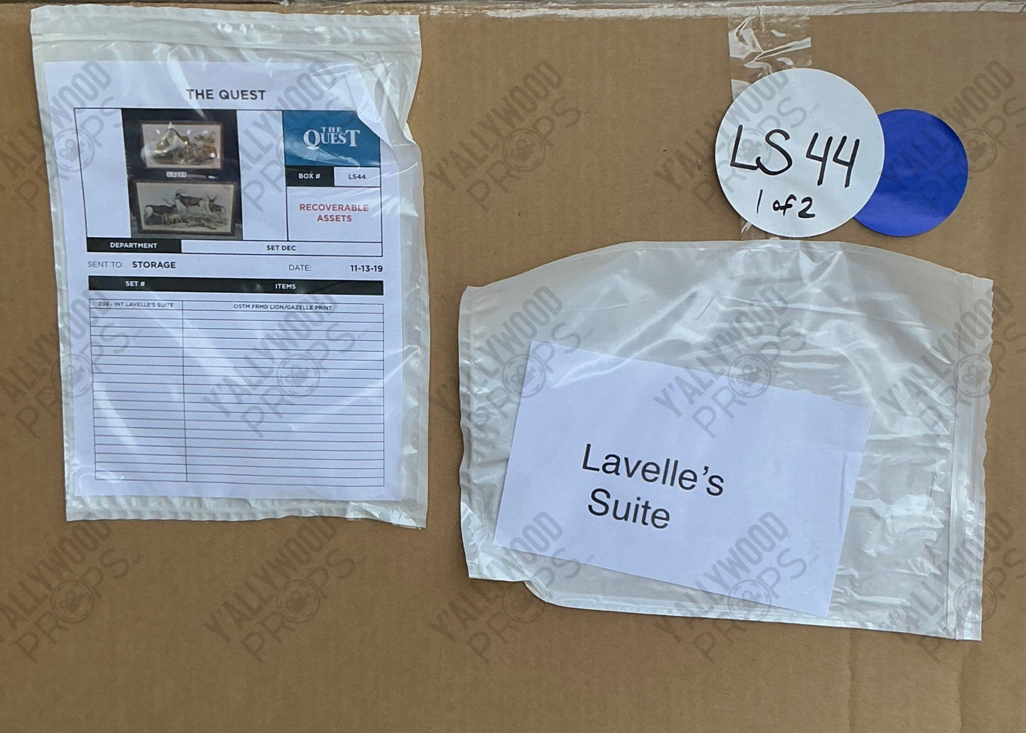 African Lion Framed Picture Coming 2 America (2021) Movie Prop Y'allywood Props