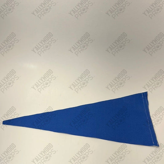 Blue Valley High School Pennant S3E10 Stargirl Movie Prop Y'allywood Props
