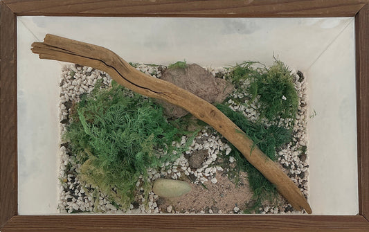 Will Byer's Terrarium from Stranger Things (2016-2025) Movie Prop Y'allywood Props