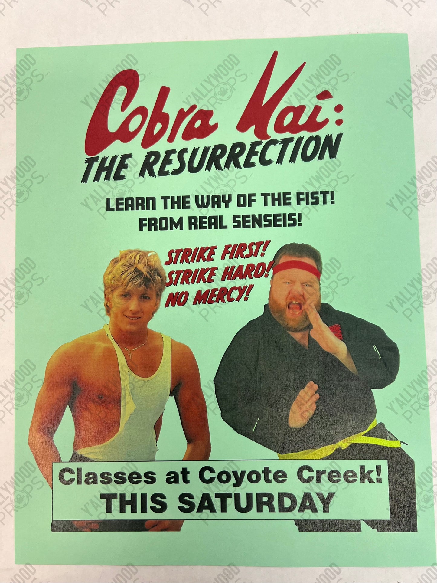 Stingray's Cobra Kai Flyer S6E1 Cobra Kai Movie Prop Y'allywood Props Green Backup Flyer