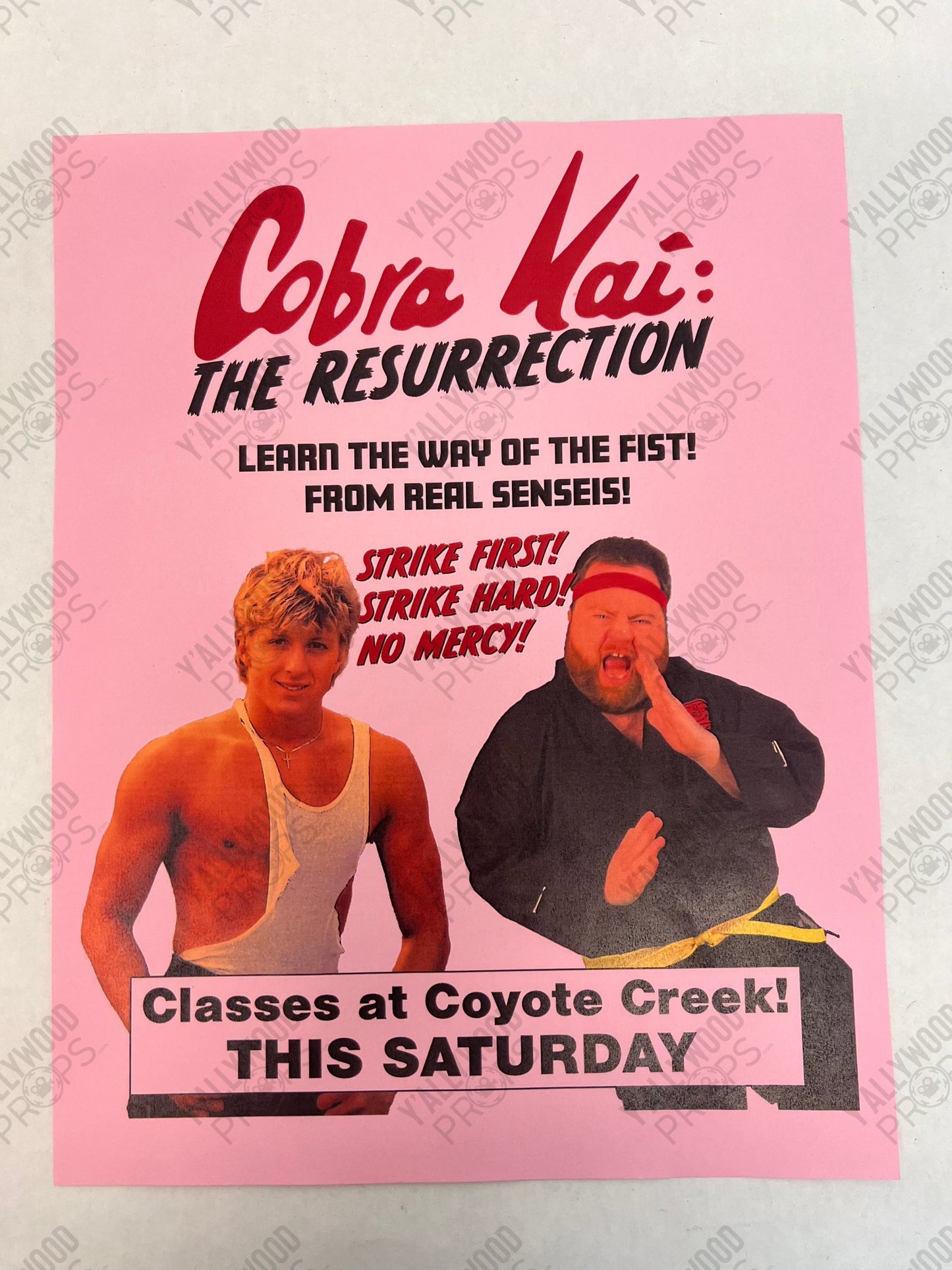 Stingray's Cobra Kai Flyer S6E1 Cobra Kai Movie Prop Y'allywood Props Pink Backup Flyer
