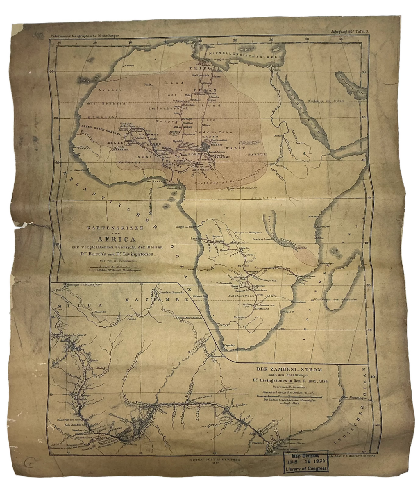 Prop Map Jungle Cruise (2021) Movie Prop Y'allywood Props