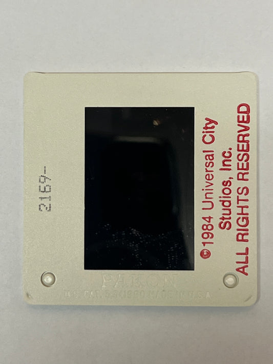 Kelly LeBrock Slides Weird Science (1985) Film Memorabilia Y'allywood Props