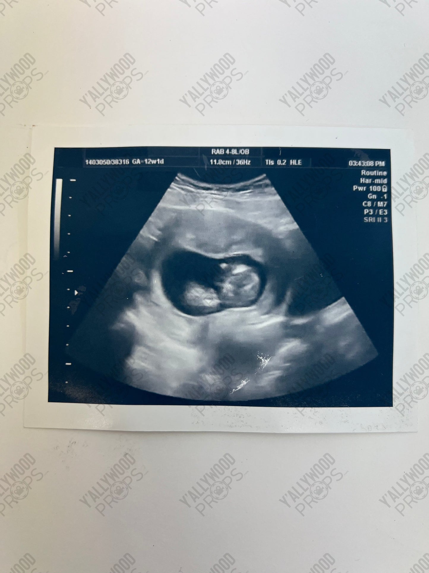 Johnny & Carmen's Sonogram S5E9 Cobra Kai Movie Prop Y'allywood Props