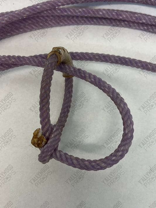 Harold's Lasso Harold and the Purple Crayon Memorabilia Y'allywood Props