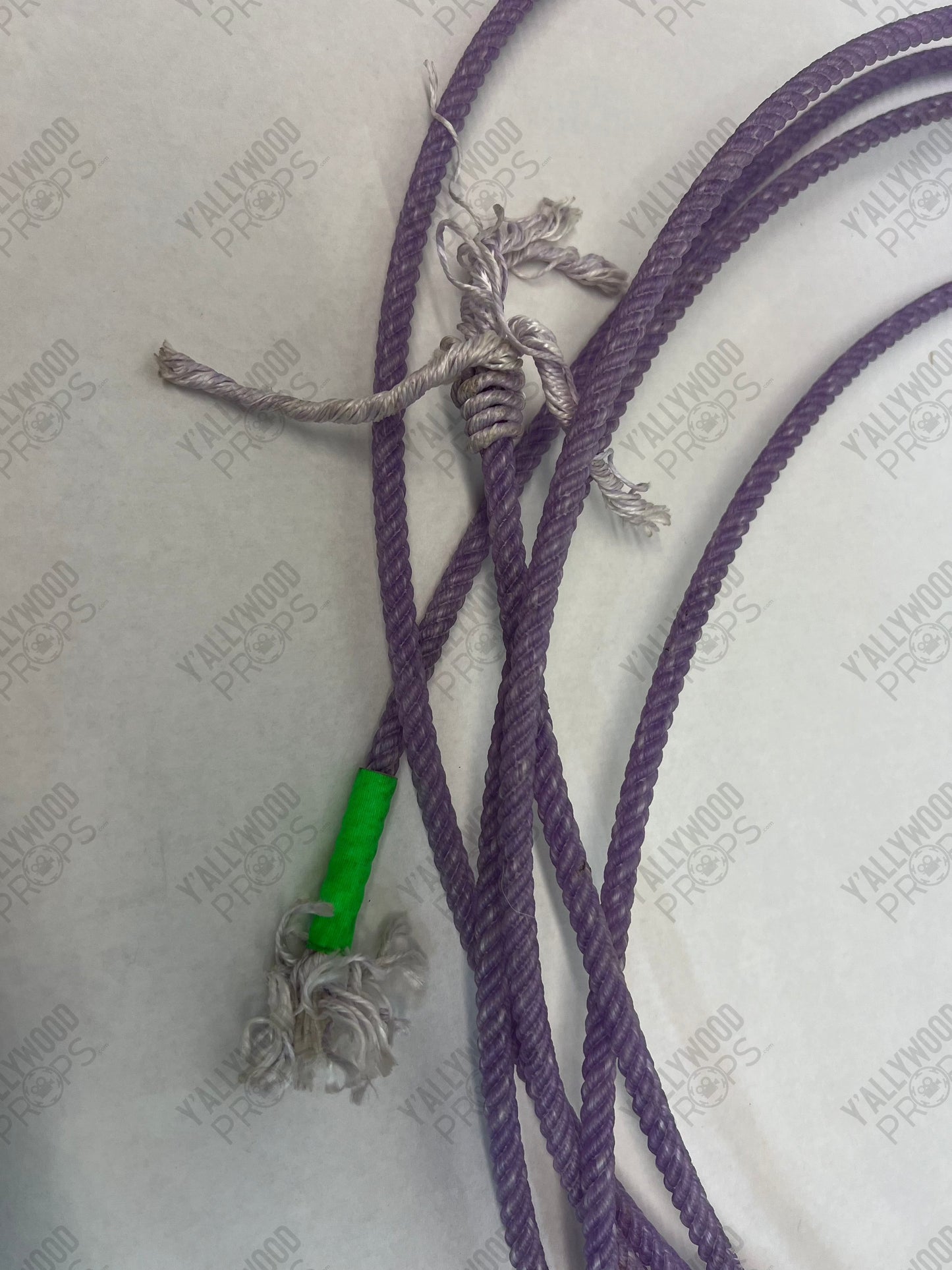 Harold's Lasso Harold and the Purple Crayon Memorabilia Y'allywood Props