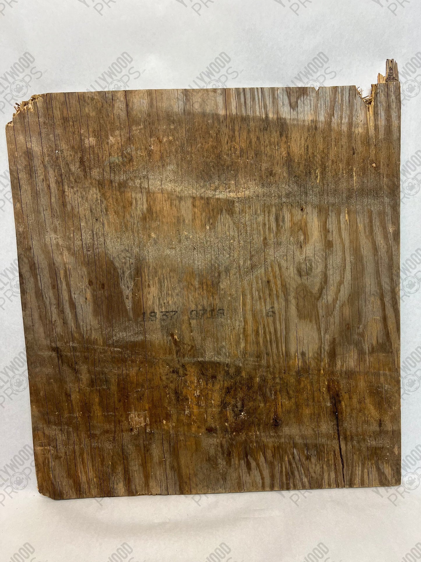 Kreese's Dog Company Logo S3E6 Cobra Kai Movie Prop Y'allywood Props