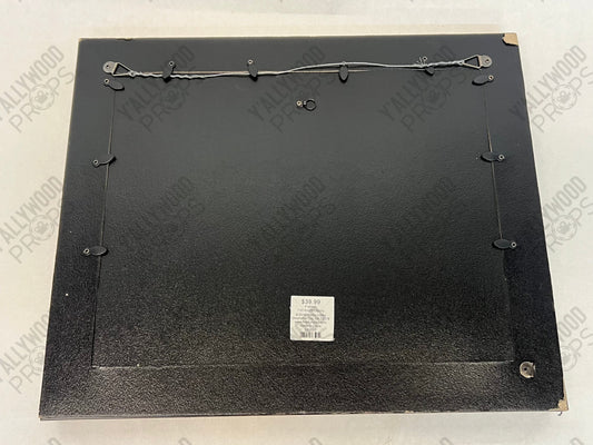 Tommy Chapman's Community Service Award Just Mercy (2019) Movie Prop Y'allywood Props