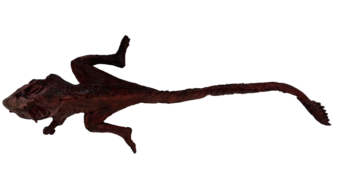 Roasted Orlani Guardians of the Galaxy 3 & Holiday Special Movie Prop Y'allywood Props