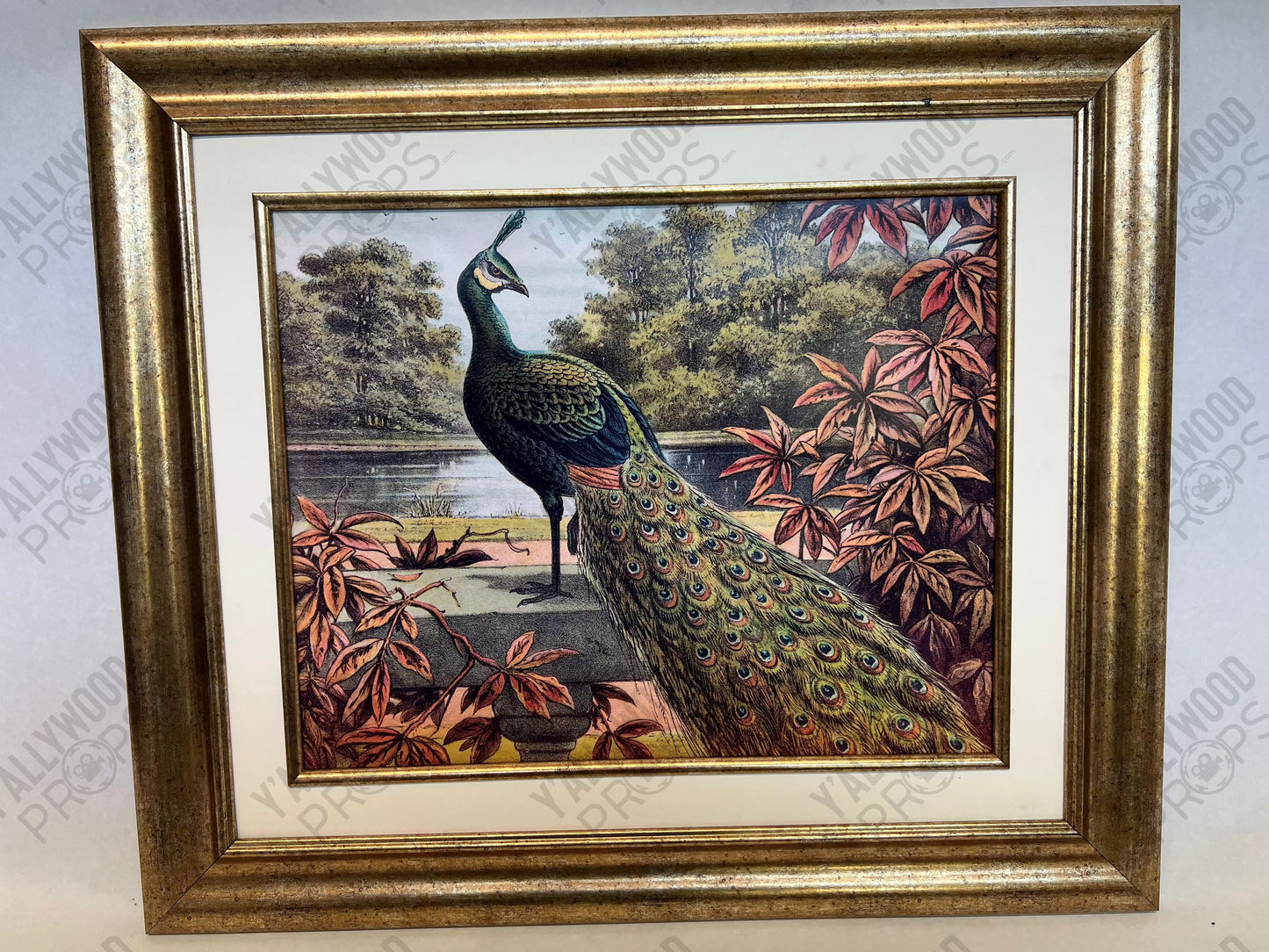 Peacock Picture Tory's Doctors Office S6E5 Cobra Kai Movie Prop Y'allywood Props