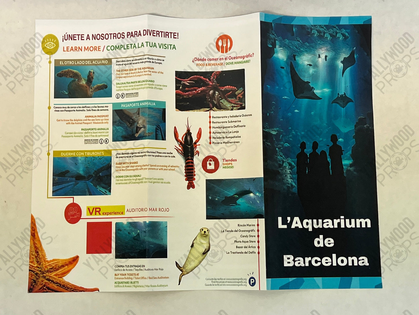 Demetri's Aquarium Brochure S6E6 Cobra Kai Movie Prop Y'allywood Props