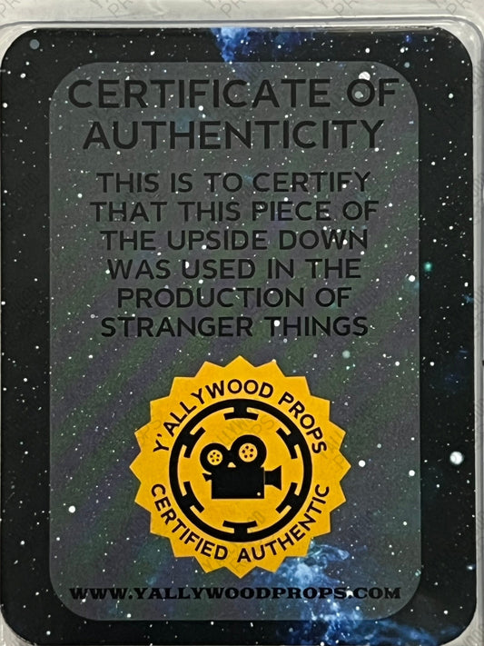 Piece of the Upside Down Stranger Things Movie Prop Y'allywood Props