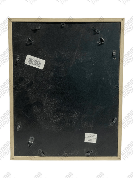 Aunt May's Art Captain America: Civil War (2016) F Movie Prop Y'allywood Props