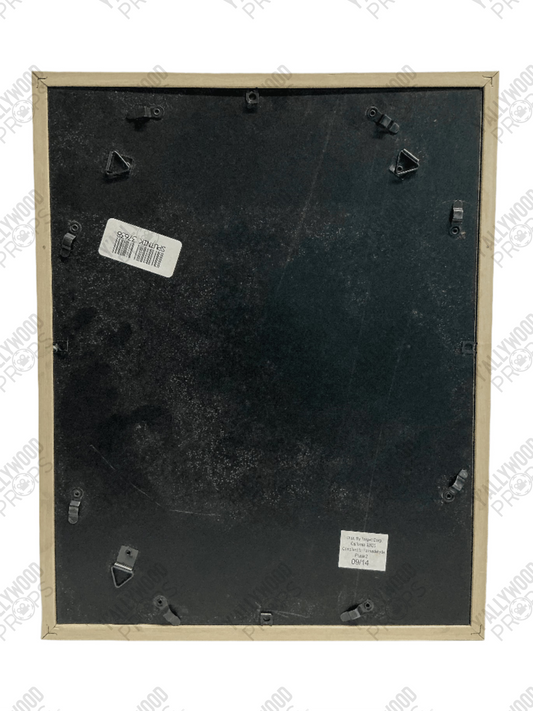 Aunt May's Art Captain America: Civil War (2016) F Movie Prop Y'allywood Props