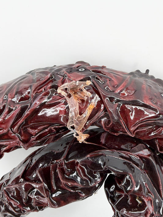 9' Shiny Vine from The Upside Down Stranger Things (2016-2025) Movie Prop Y'allywood Props