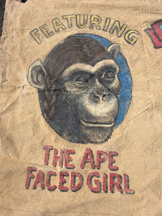 Ape Faced Girl & Wendigo Circus Banner S2E1 Doom Patrol (2019-2023) Movie Prop Y'allywood Props