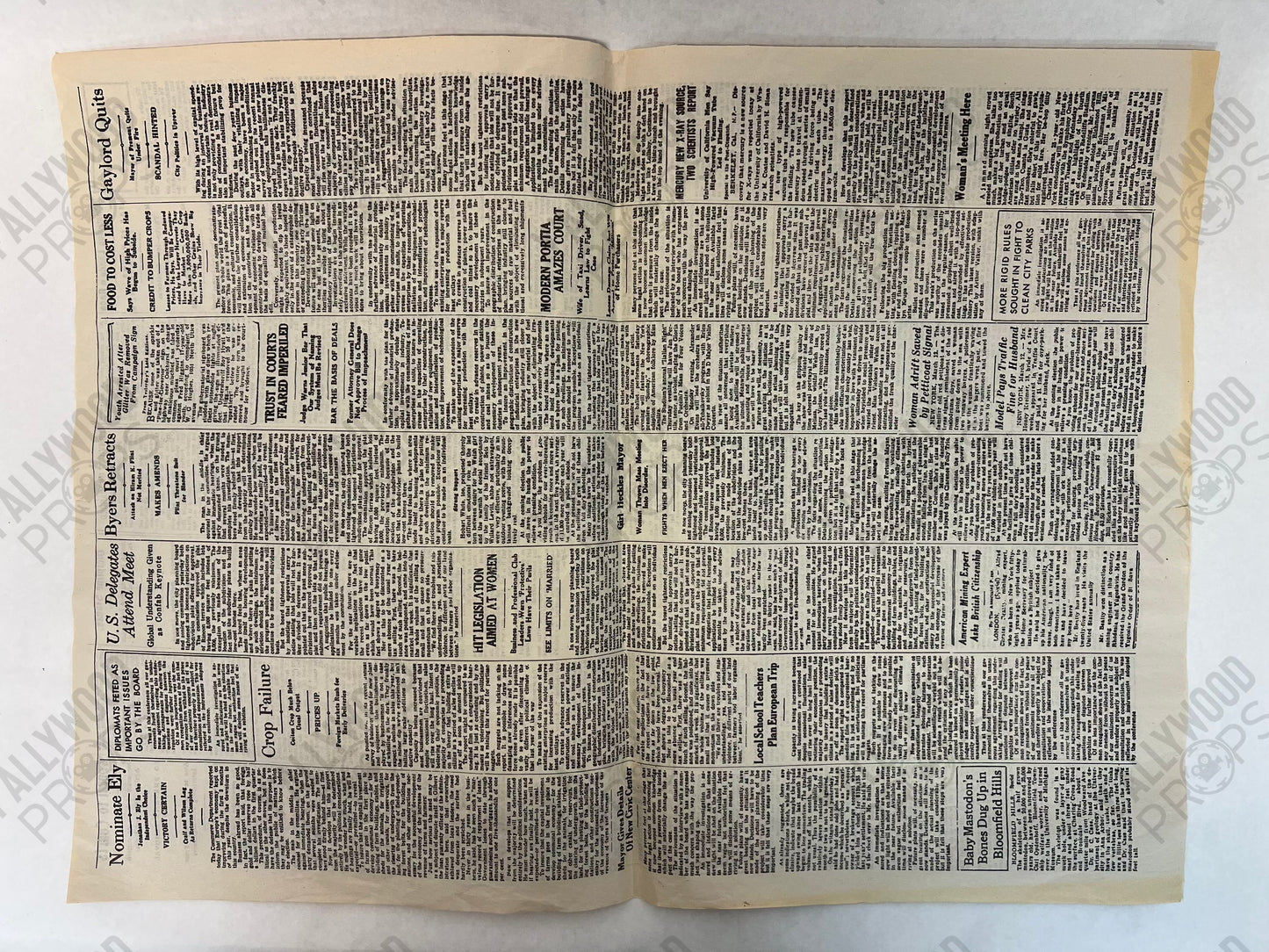 The Danny Daily Newspaper S1E15 Doom Patrol (2019) Movie Prop Y'allywood Props