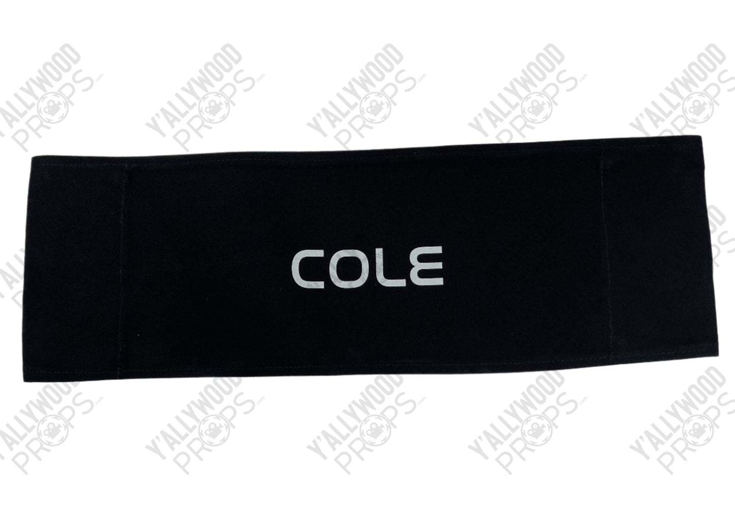 Fly Me To The Moon Production Used Chairback Movie Prop Y'allywood Props Cole