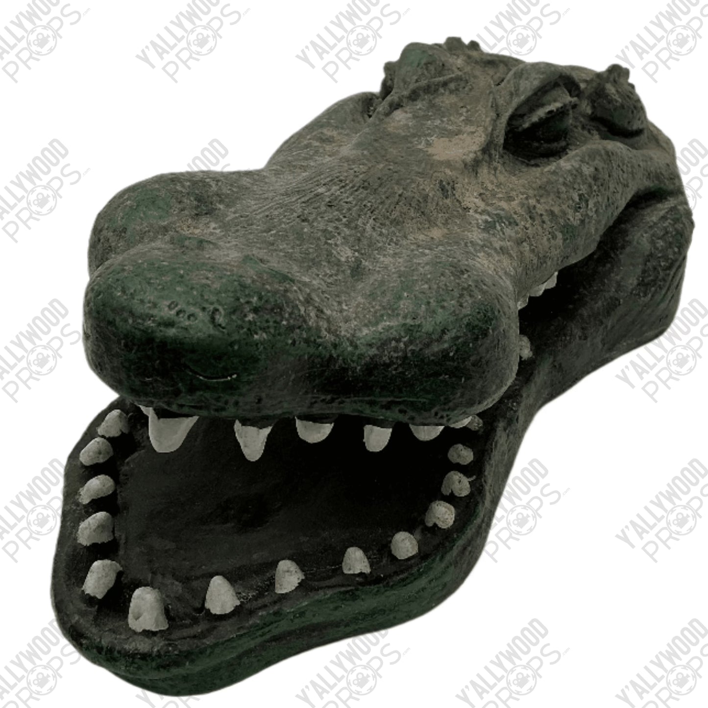 Gatorville Gift Shop Yard Gator Bad Boys 4 Ride or Die (2024) Movie Prop Y'allywood Props Head Only