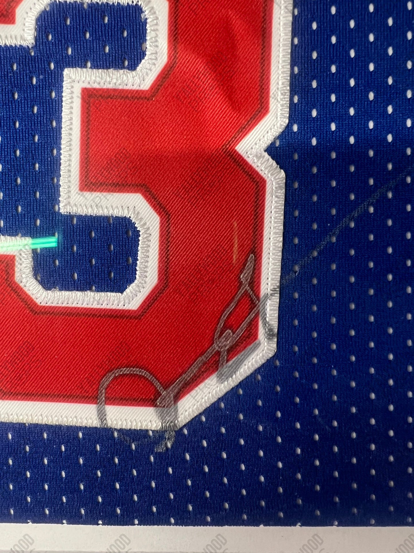 Benicio del Toro's Signed Allen Iverson Jersey Reptile (2023) Movie Prop Y'allywood Props