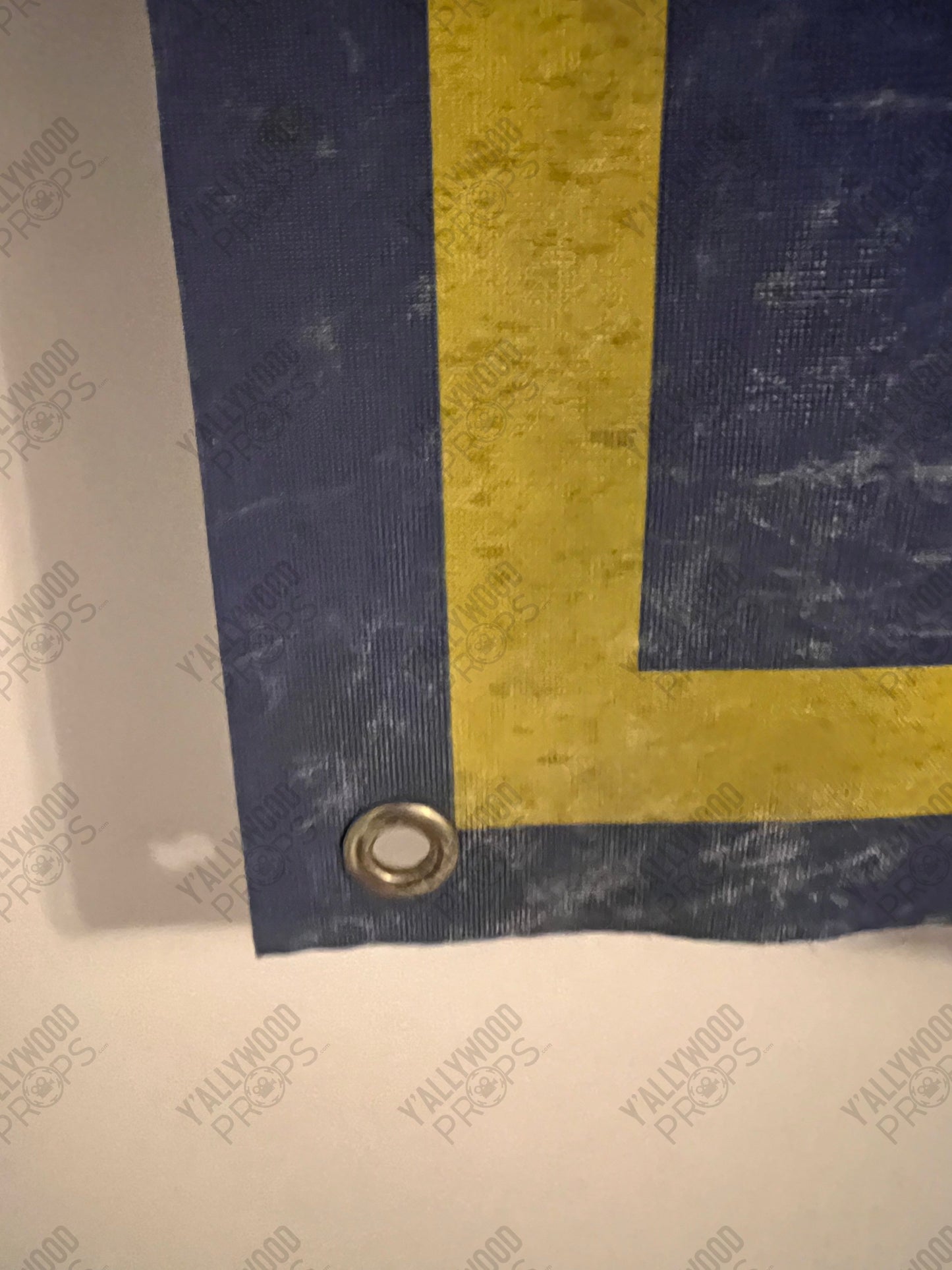 DTO Fraternity Flag from Life of the Party Movie Prop Y'allywood Props