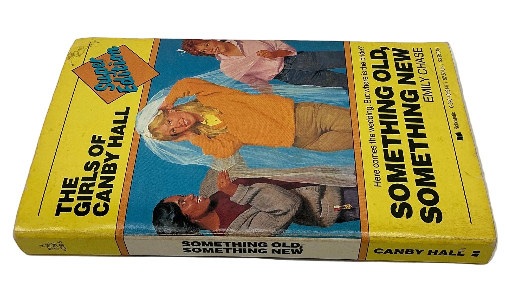 Books from Wheeler's Basement Stranger Things (2016-2025) Movie Prop Y'allywood Props The Girls of Canby Hall Something Old Something New by Emily Chase