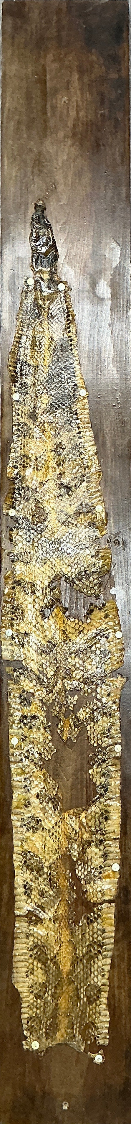 Snake Skin from Hopper's Cabin Stranger Things (2016-2025) Movie Prop Y'allywood Props