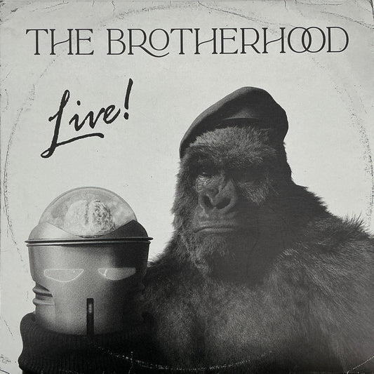 The Brain's The Brotherhood of Evil Album Doom Patrol (2019-2023) Movie Prop Y'allywood Props