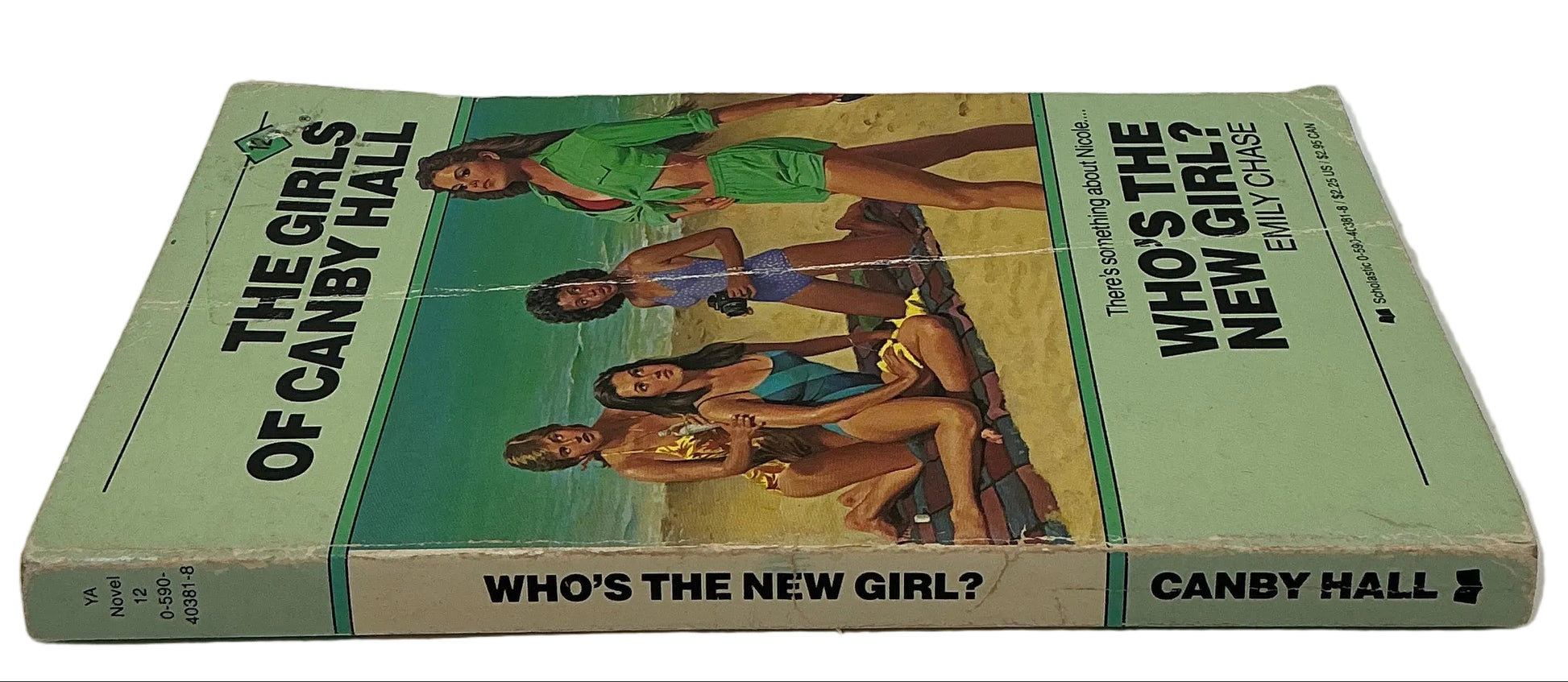 Books from Wheeler's Basement Stranger Things (2016-2025) Movie Prop Y'allywood Props The Girls of Canby Hall Who's The New Girl by Emily Chase